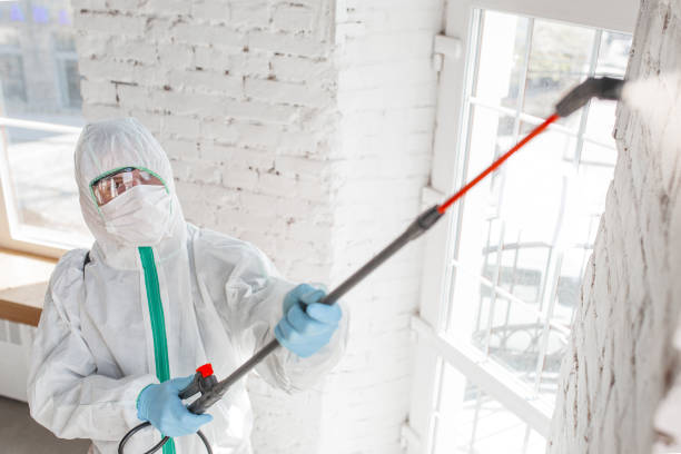 Best Post-Construction Mold Inspection  in Okeechobee, FL