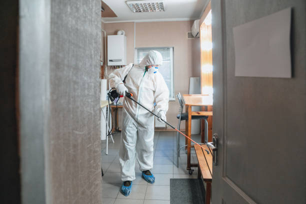 Biohazard Mold Removal in Okeechobee, FL