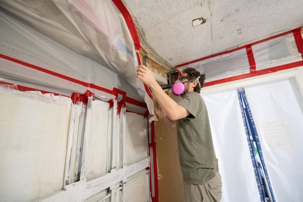 Best Mold-Related Health Consultation  in Okeechobee, FL