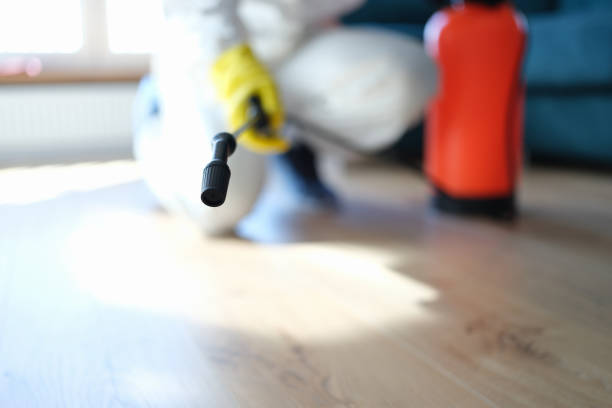 Best Industrial Mold Remediation  in Okeechobee, FL