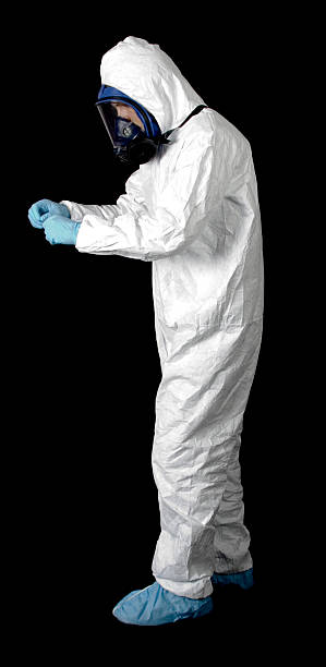 Best Basement Mold Removal  in Okeechobee, FL
