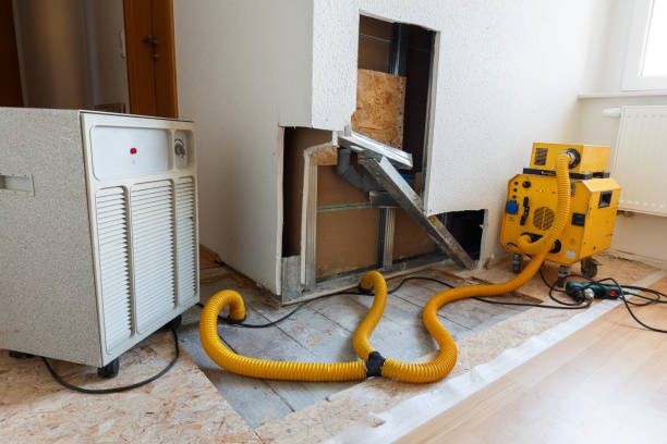 Best Indoor Air Quality Assessment  in Okeechobee, FL